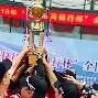包含棒球总决赛，漠南海豚队与燕山铁骑队强势横扫，VAR改判成焦点！边后卫成为亮点的词条